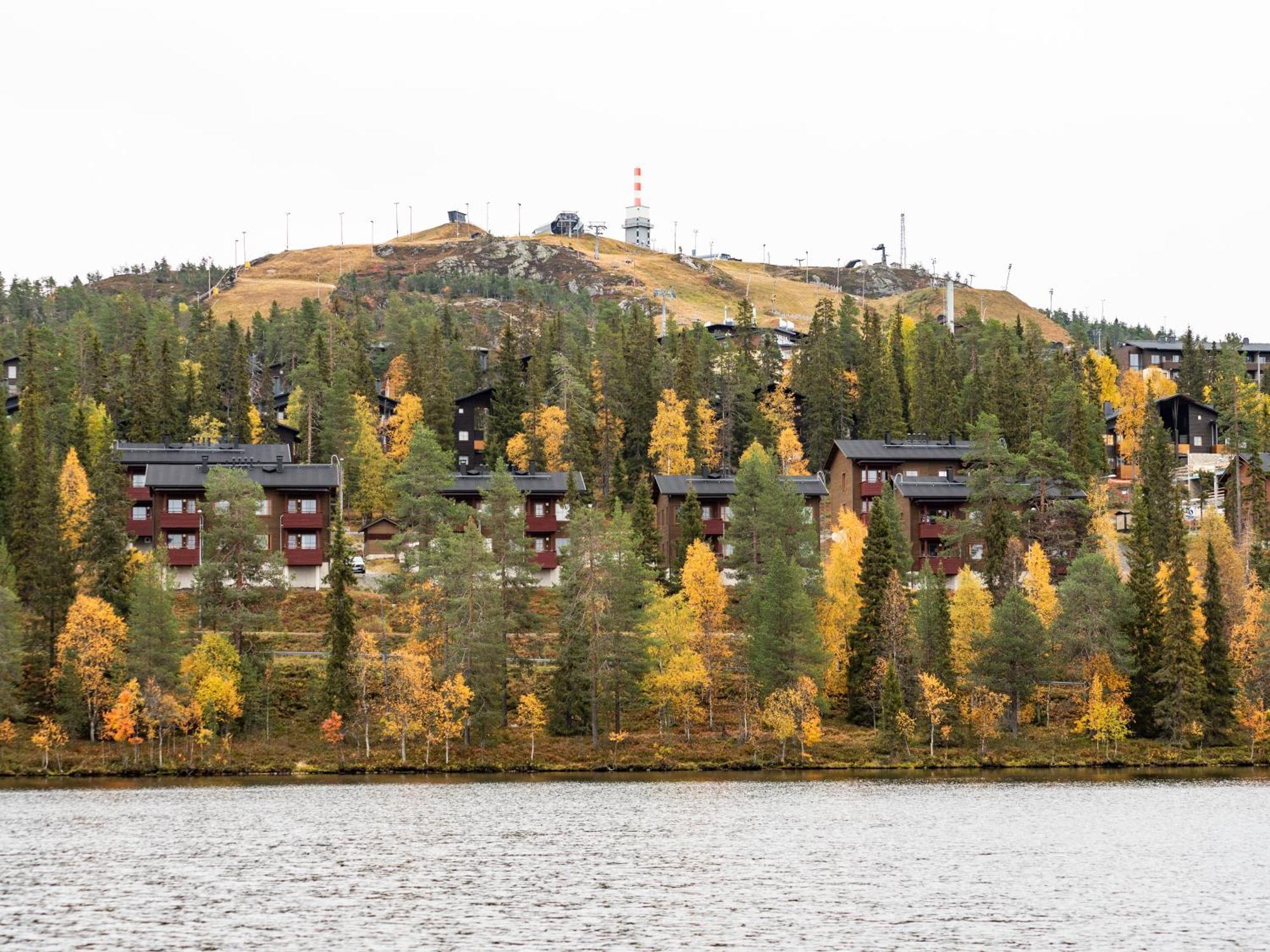 Апартаменты Ski-inn Aurinkorinne Рука